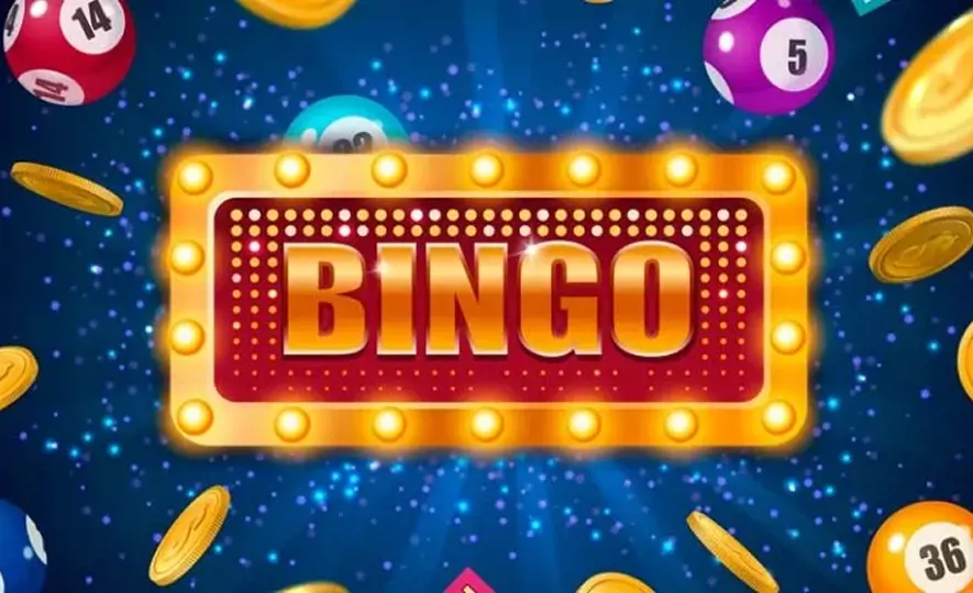 Bingo Bingo